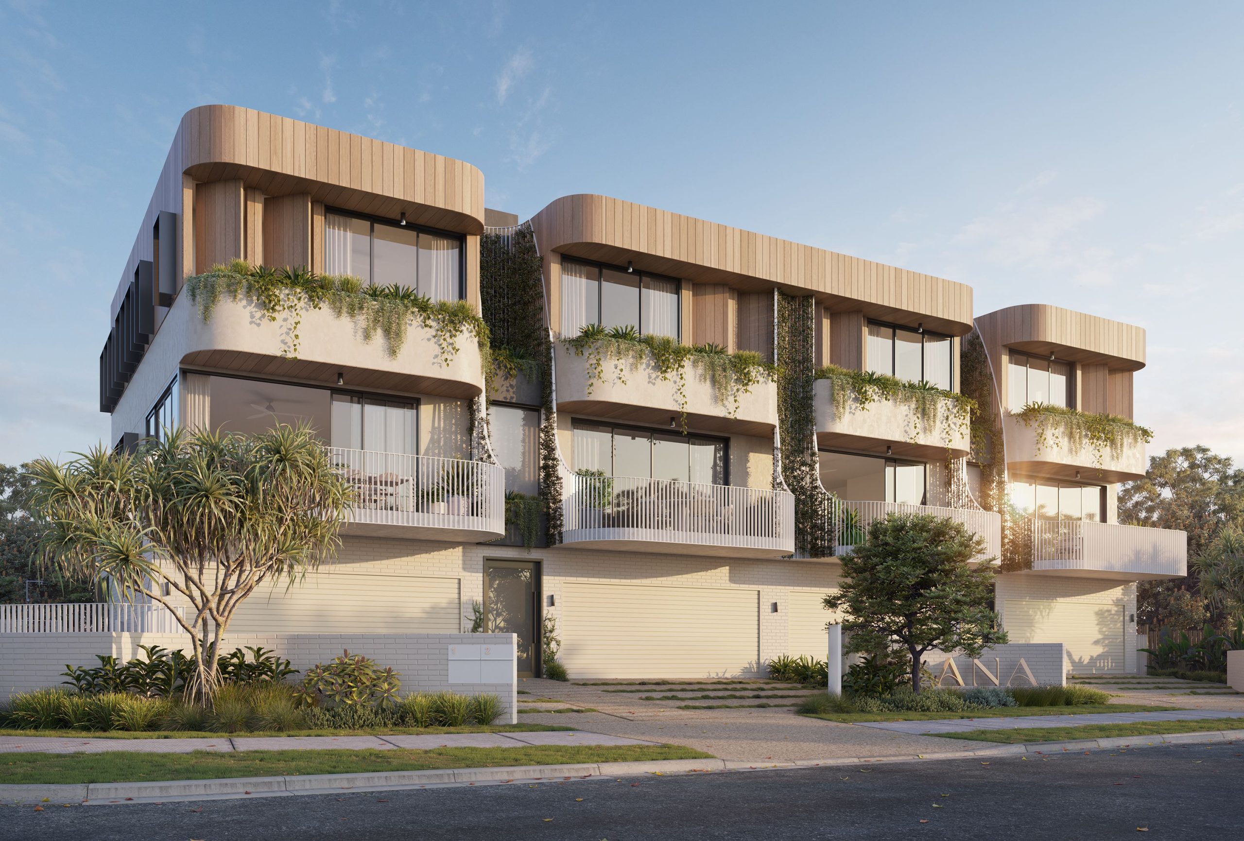 ANA, Cotton Tree